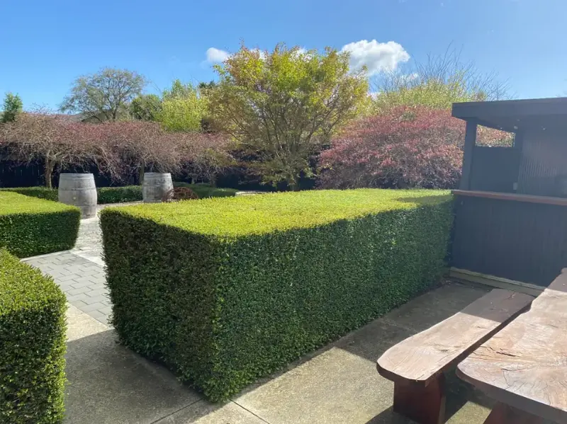 Amberley lawn and garden project 16
