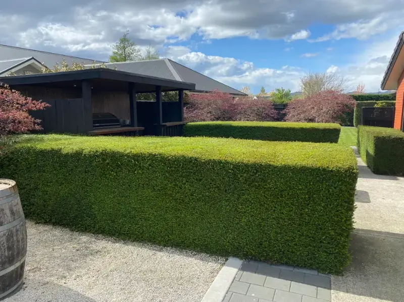 Amberley lawn and garden project 17