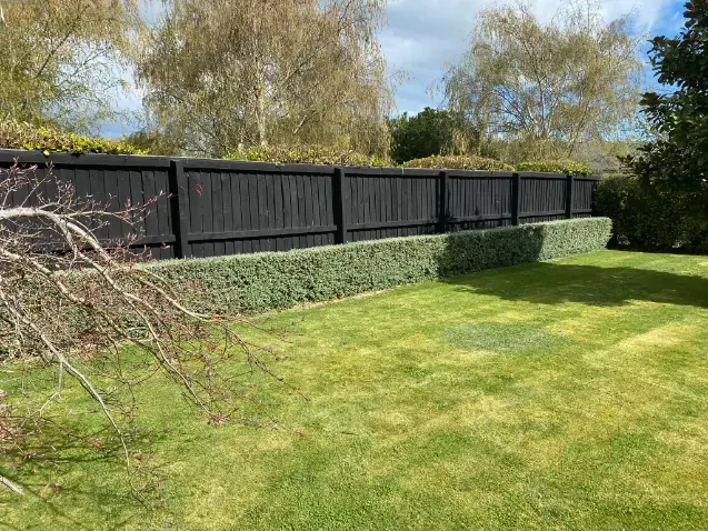 Amberley lawn and garden project 18
