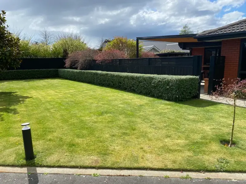 Amberley lawn and garden project 20