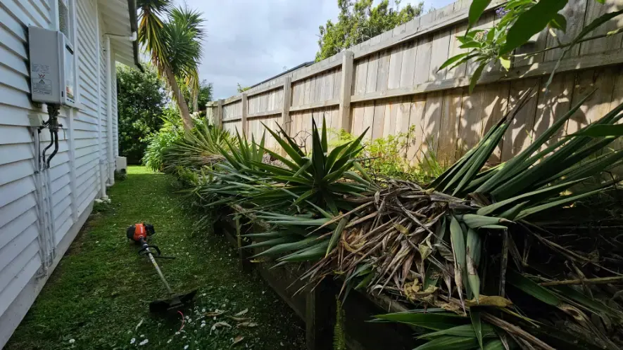 Rubbish removal in Amberley